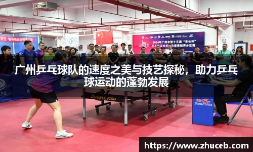 yy易游体育