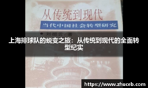 上海排球队的蜕变之旅:从传统到现代的全面转型纪实