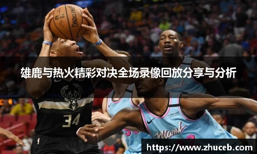 雄鹿与热火精彩对决全场录像回放分享与分析