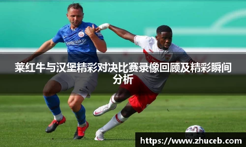 莱红牛与汉堡精彩对决比赛录像回顾及精彩瞬间分析