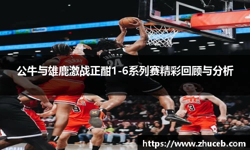 公牛与雄鹿激战正酣1-6系列赛精彩回顾与分析