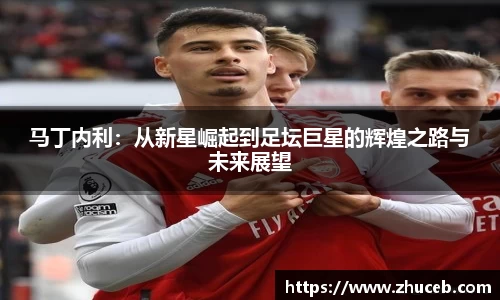 马丁内利:从新星崛起到足坛巨星的辉煌之路与未来展望