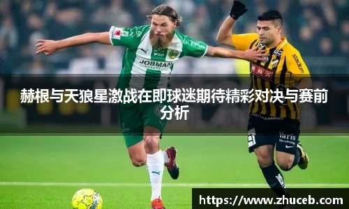 赫根与天狼星激战在即球迷期待精彩对决与赛前分析