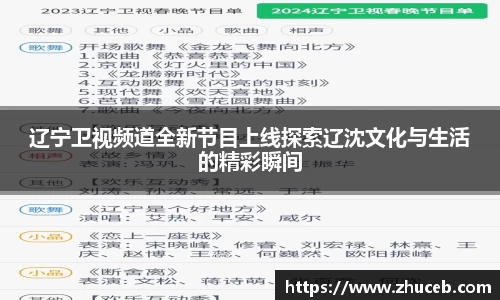 辽宁卫视频道全新节目上线探索辽沈文化与生活的精彩瞬间